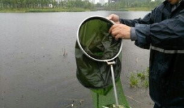 爆料如皋钓鱼视频最新版