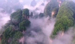 张家界爆料视频最新一期,揭秘神秘景点背后的故事